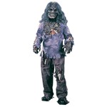 Complete Zombie Boy Child Halloween Costume
