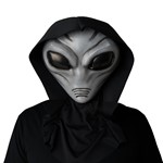 Grey Alien Adult Halloween Mask