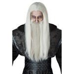 Mens Dark Wizard Grey Beard & Wig