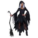 Womens Bewitching Beauty Adult Witch Costume