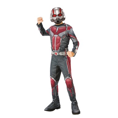 Boys Ant-Man and the Wasp Superhero Costume