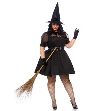 Chic Bewitching Witch Womens Plus Size Costume
