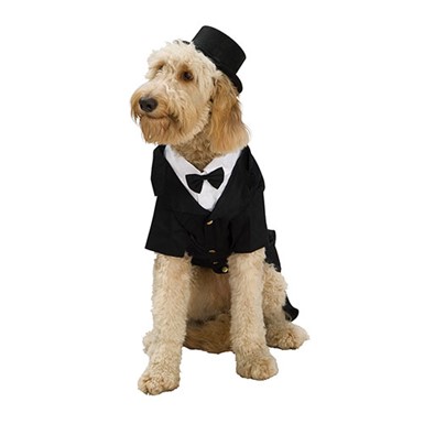 Dapper Dog Formal Tuxedo Pet Halloween Costume