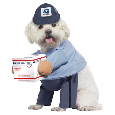 Dog US Mail Carrier Pup Halloween Pet Costume
