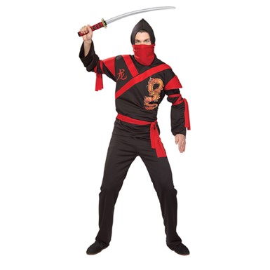 Dragon Ninja Warrior Adult Standard Size Costume