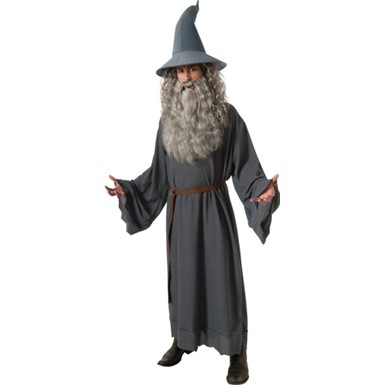 Mens The Hobbit Gandalf Movie Costume sz Standard 42-46