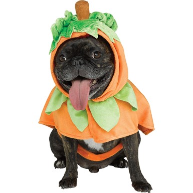 Pumpkin Pup Poncho Halloween Pet Costume