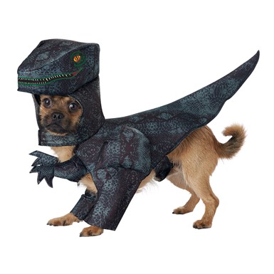 Pupasaurus Rex Dog Halloween Costume