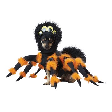 Spider Pup Halloween Pet Costume