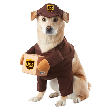 UPS Pal Halloween Pet Costume